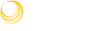 Allyn International logo
